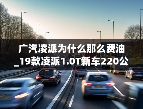 广汽凌派为什么那么费油_19款凌派1.0T新车220公里32升油，百公里15升油了各位大神知道怎么回事儿吗？每次开三五公里