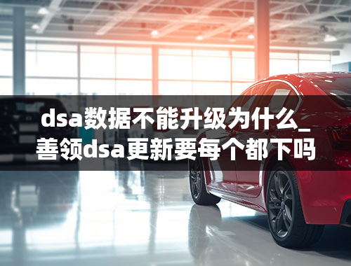 dsa数据不能升级为什么_善领dsa更新要每个都下吗