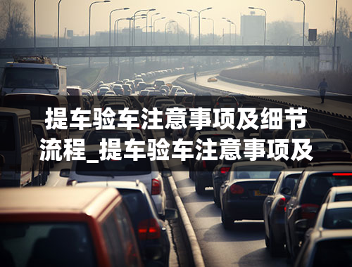 提车验车注意事项及细节流程_提车验车注意事项及细节流程图