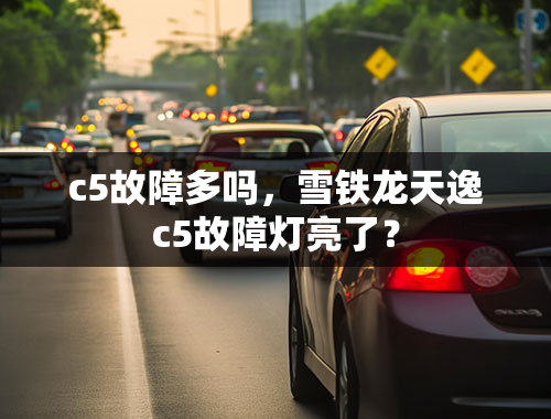 c5故障多吗，雪铁龙天逸c5故障灯亮了？