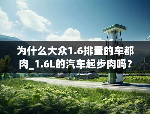 为什么大众1.6排量的车都肉_1.6L的汽车起步肉吗？车内满员情况下上陡坡有劲吗？