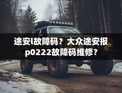 途安l故障码？大众途安报p0222故障码维修？