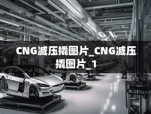 CNG减压撬图片_CNG减压撬图片_1