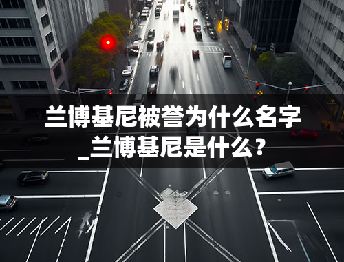 兰博基尼被誉为什么名字_兰博基尼是什么？