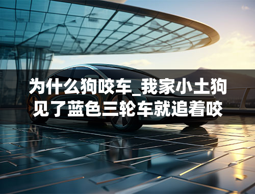 为什么狗咬车_我家小土狗见了蓝色三轮车就追着咬怎么回事？