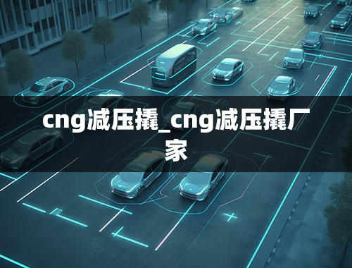 cng减压撬_cng减压撬厂家