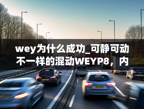 wey为什么成功_可静可动不一样的混动WEYP8，内饰品质豪华感上得以坐实