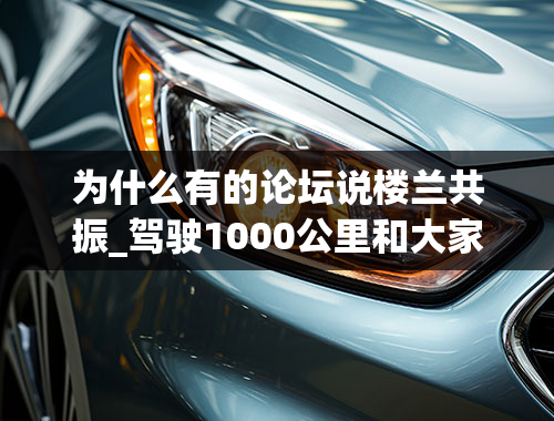 为什么有的论坛说楼兰共振_驾驶1000公里和大家分享一下我的爱车楼兰的用车感受！