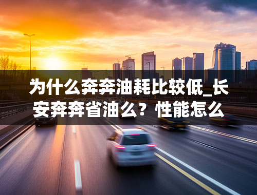 为什么奔奔油耗比较低_长安奔奔省油么？性能怎么样？维修成本高么？知道的朋友帮个忙，谢谢了