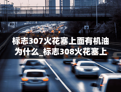 标志307火花塞上面有机油为什么_标志308火花塞上全是机油怎么解决的？