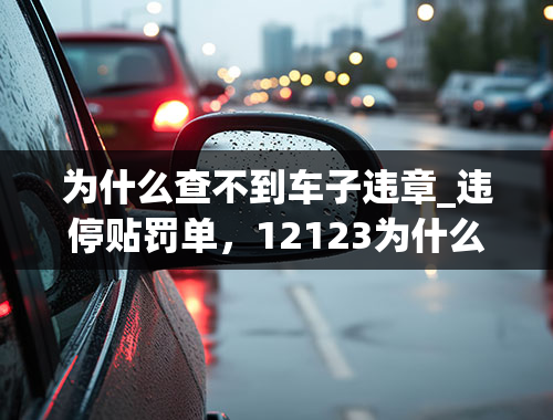 为什么查不到车子违章_违停贴罚单，12123为什么查不到？