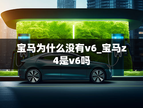 宝马为什么没有v6_宝马z4是v6吗