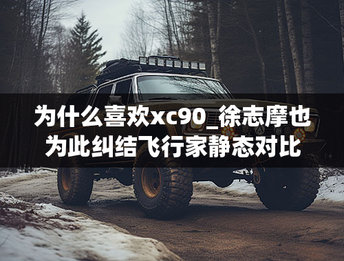 为什么喜欢xc90_徐志摩也为此纠结飞行家静态对比XC90