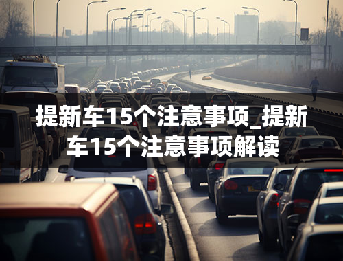 提新车15个注意事项_提新车15个注意事项解读