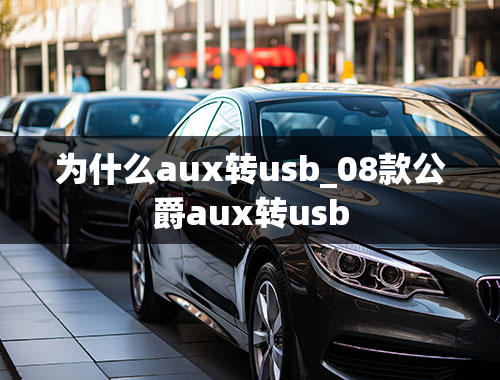 为什么aux转usb_08款公爵aux转usb