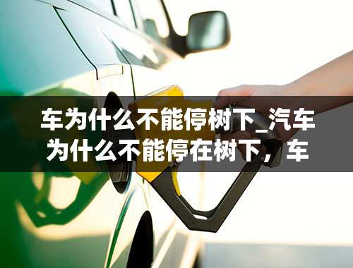 车为什么不能停树下_汽车为什么不能停在树下，车上有好多树胶怎么办？