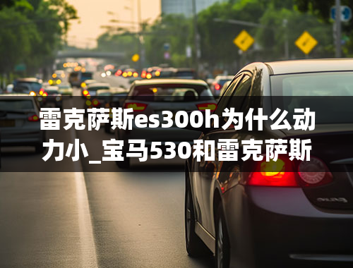 雷克萨斯es300h为什么动力小_宝马530和雷克萨斯ES300h相比，选哪个好？