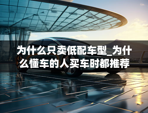 为什么只卖低配车型_为什么懂车的人买车时都推荐买低配？