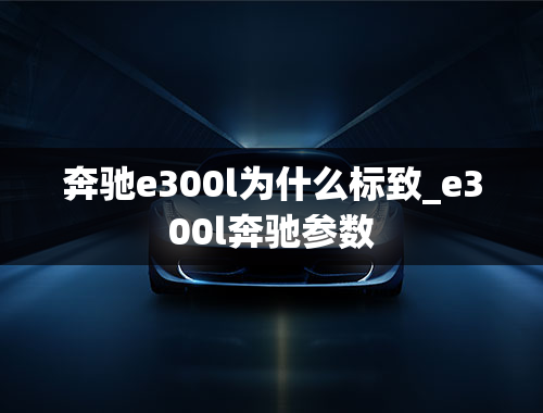 奔驰e300l为什么标致_e300l奔驰参数