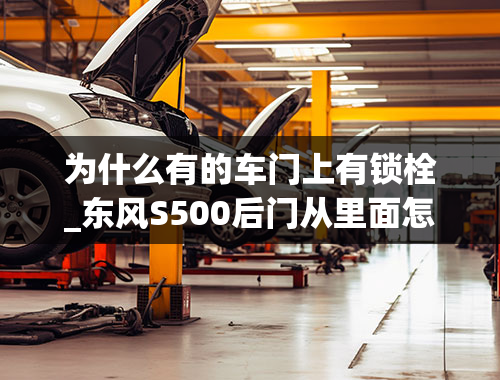 为什么有的车门上有锁栓_东风S500后门从里面怎么开门