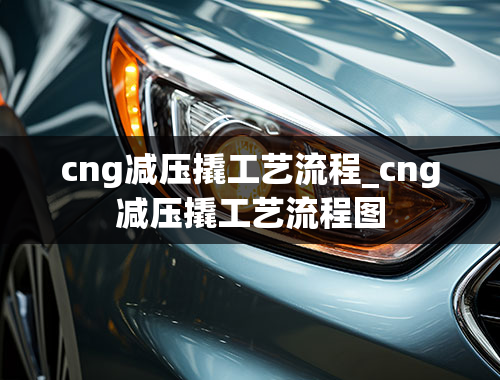 cng减压撬工艺流程_cng减压撬工艺流程图