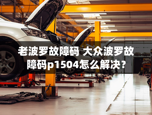 老波罗故障码 大众波罗故障码p1504怎么解决？