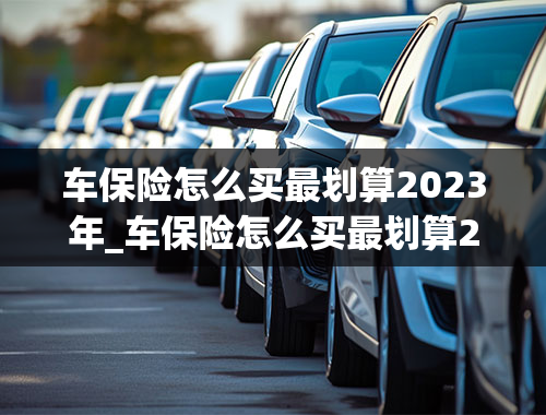 车保险怎么买最划算2023年_车保险怎么买最划算2023年多少钱