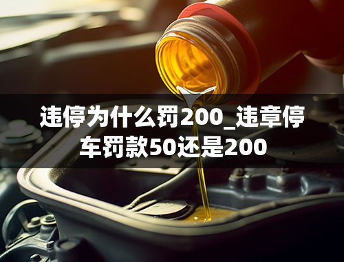 违停为什么罚200_违章停车罚款50还是200