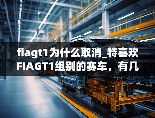 fiagt1为什么取消_特喜欢FIAGT1组别的赛车，有几个问题请教一下