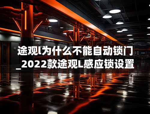 途观l为什么不能自动锁门_2022款途观L感应锁设置