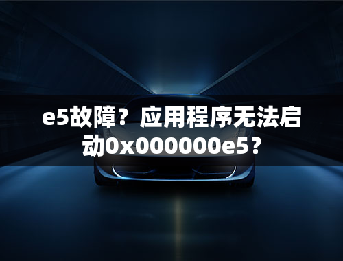 e5故障？应用程序无法启动0x000000e5？