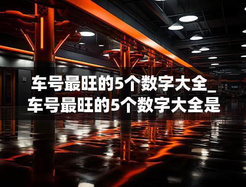 车号最旺的5个数字大全_车号最旺的5个数字大全是什么