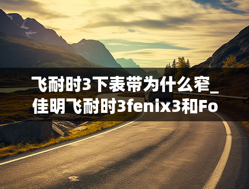 飞耐时3下表带为什么窄_佳明飞耐时3fenix3和Forerunner235怎么选择？看中了fenix3普通版（无蓝宝