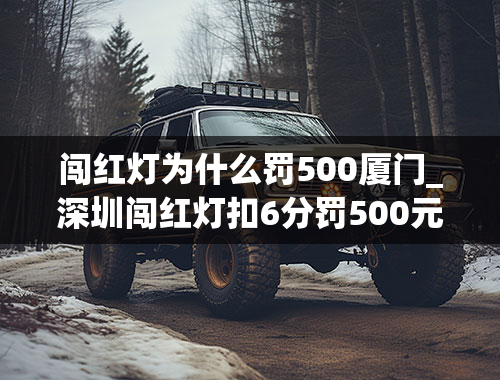 闯红灯为什么罚500厦门_深圳闯红灯扣6分罚500元合理吗