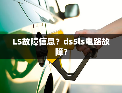 LS故障信息？ds5ls电路故障？