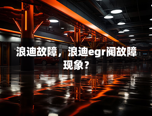 浪迪故障，浪迪egr阀故障现象？