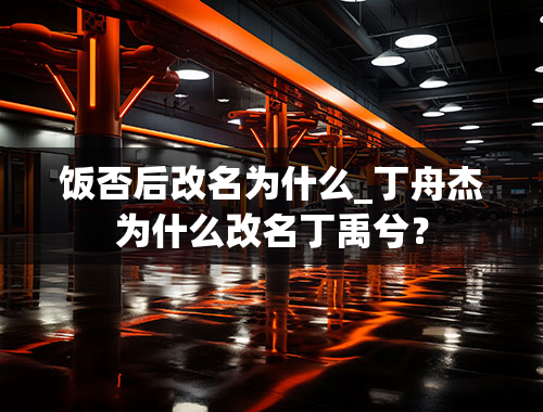 饭否后改名为什么_丁舟杰为什么改名丁禹兮？