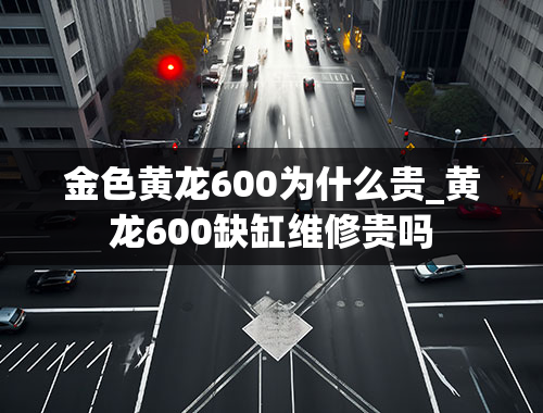 金色黄龙600为什么贵_黄龙600缺缸维修贵吗