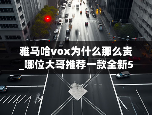 雅马哈vox为什么那么贵_哪位大哥推荐一款全新50CC踏板摩托车。要上蓝牌照的。要大品牌的。我QQ号1042004388