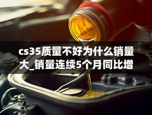 cs35质量不好为什么销量大_销量连续5个月同比增长8%11月SUV市场旁观