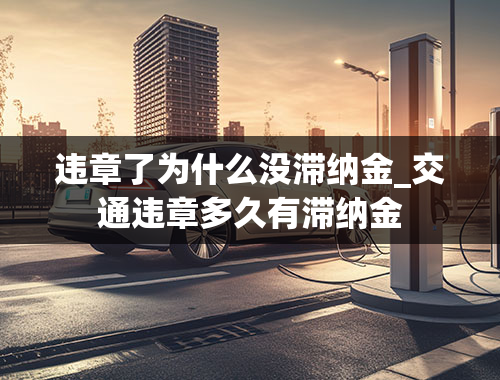 违章了为什么没滞纳金_交通违章多久有滞纳金