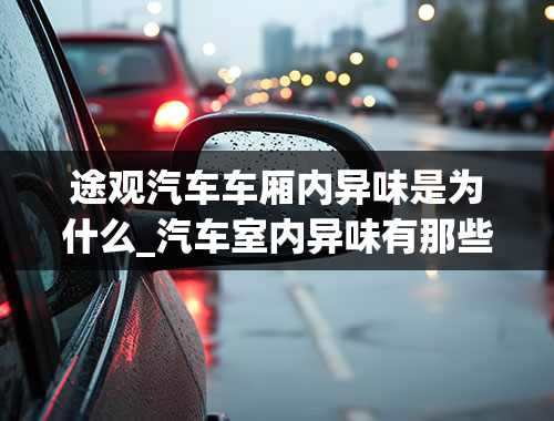 途观汽车车厢内异味是为什么_汽车室内异味有那些来源哦，怎么都处理不完哦！