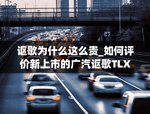 讴歌为什么这么贵_如何评价新上市的广汽讴歌TLX-L？